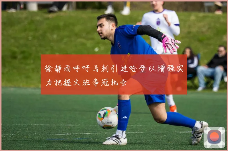 徐静雨呼吁马刺引进哈登以增强实力把握文班争冠机会
