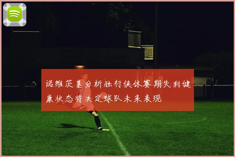 诺维茨基分析独行侠休赛期失利健康状态将决定球队未来表现